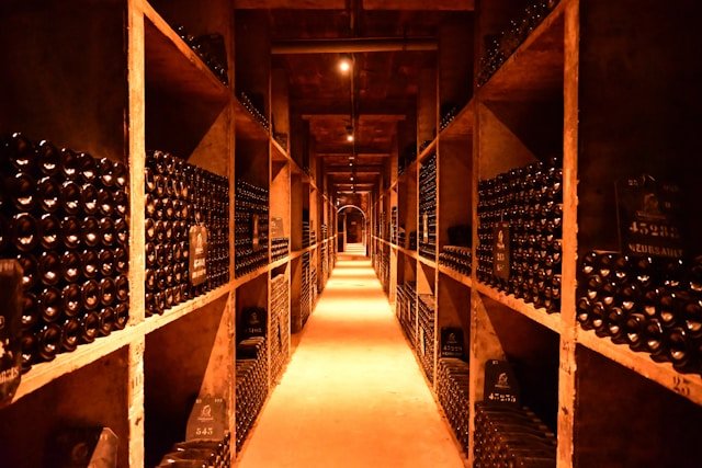 Oenotourisme : découvrez les meilleures caves et vignobles à visiter