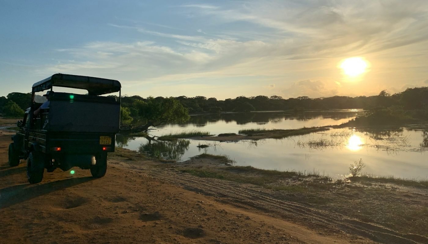 safari au Sri Lanka