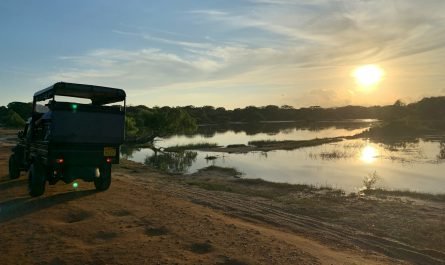 safari au Sri Lanka