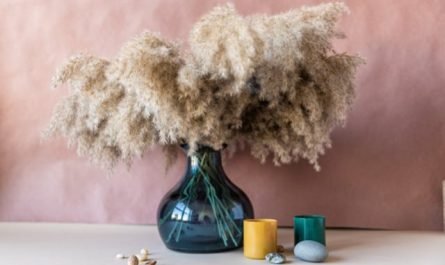 vase pampa