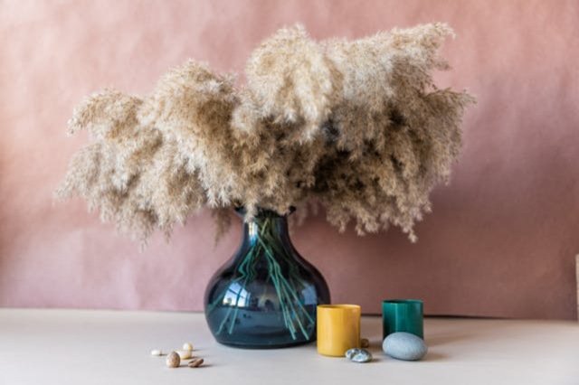 Astuces pour choisir le vase haut parfait pour votre pampa