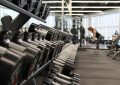 routines de musculation