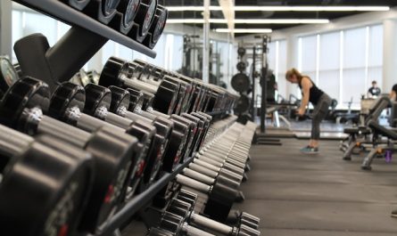routines de musculation